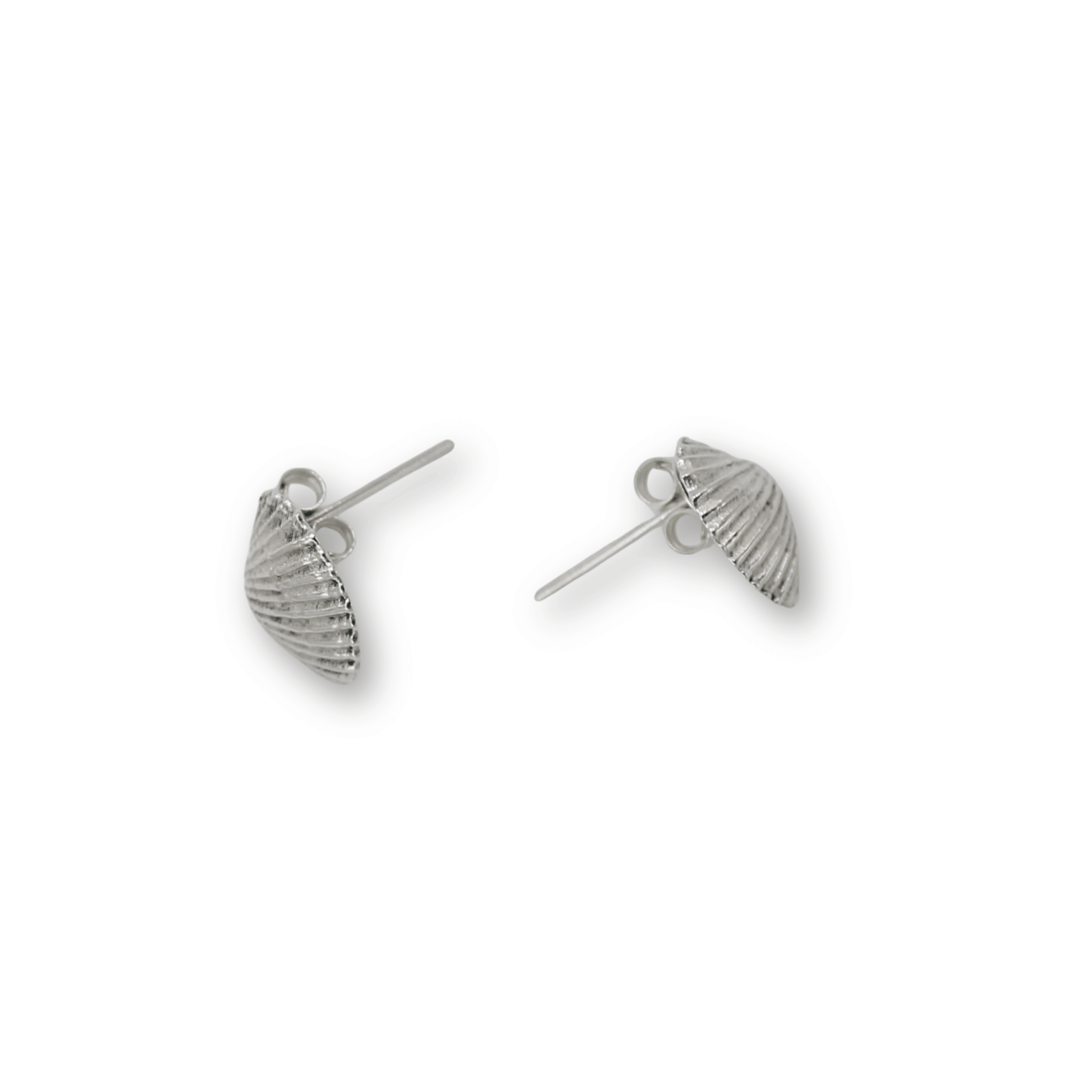 Scallop Shell Ear Studs