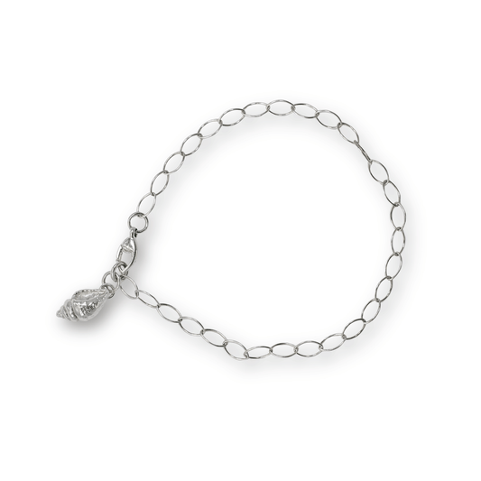 Conch Shell Marquise Charm Bracelet