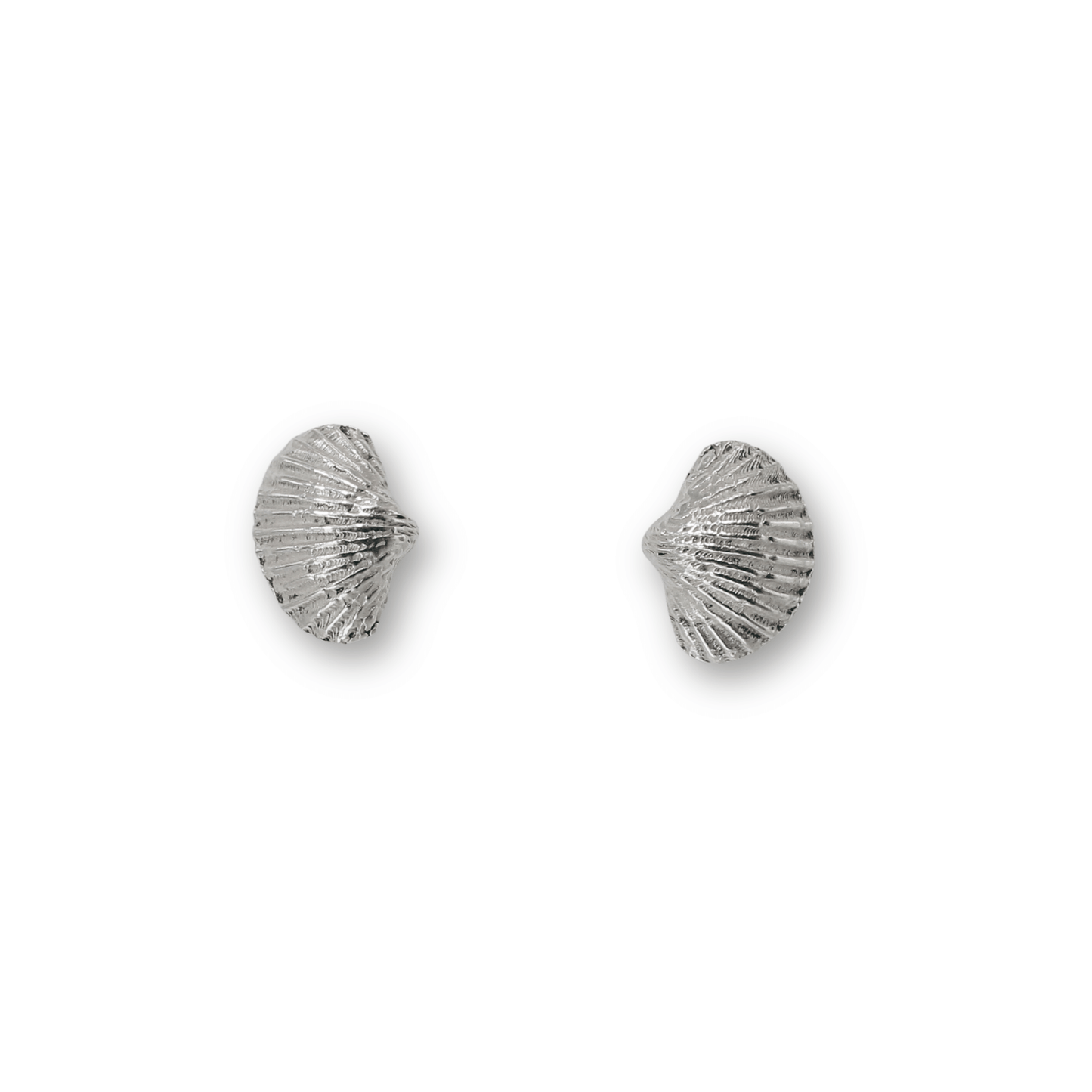 Scallop Shell Ear Studs
