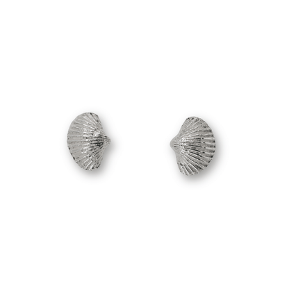 Scallop Shell Ear Studs
