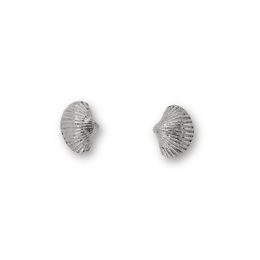 Scallop Shell Ear Studs
