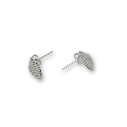 Scallop Shell Ear Studs