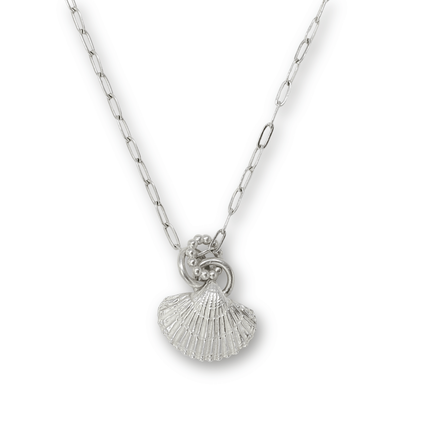 Scallop Seashell Necklace
