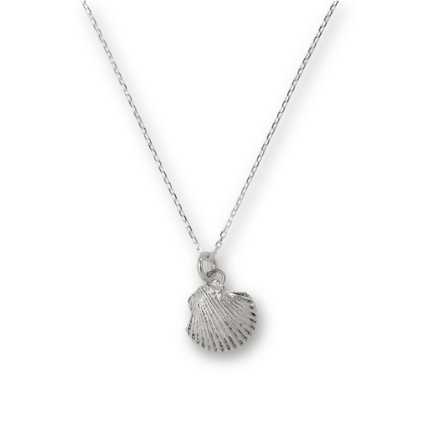 Scallop Shell Charm Necklace
