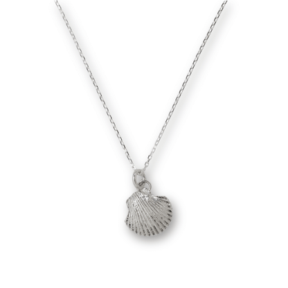 Scallop Shell Charm Necklace