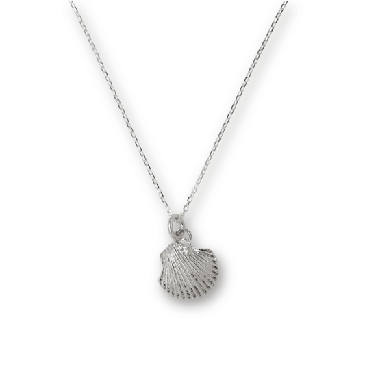 Scallop Shell Charm Necklace