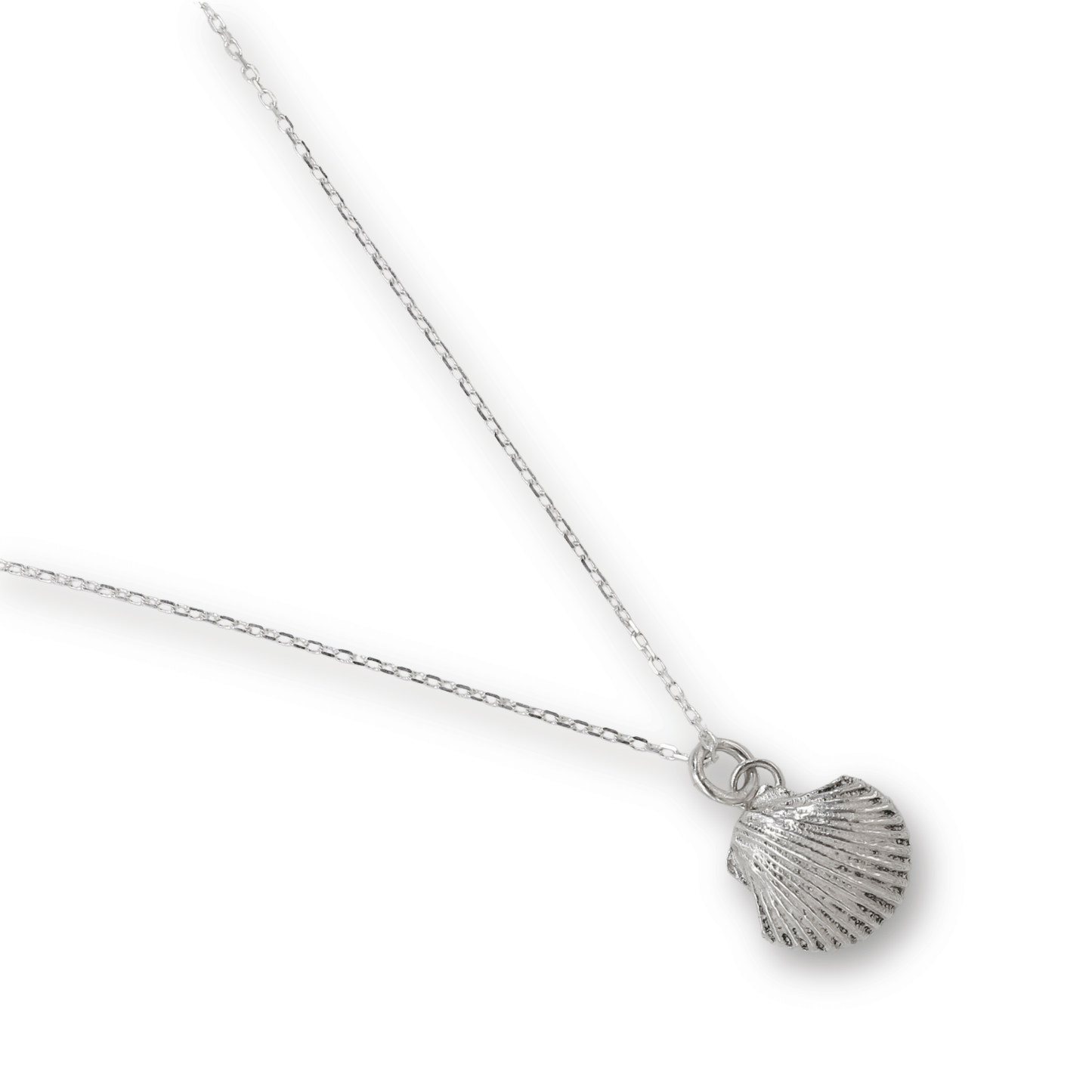 Scallop Shell Charm Necklace